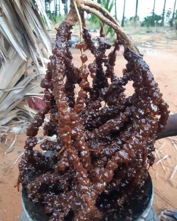 Palm candy - பனங்கற்கண்டு - 1 Kg - Image 4